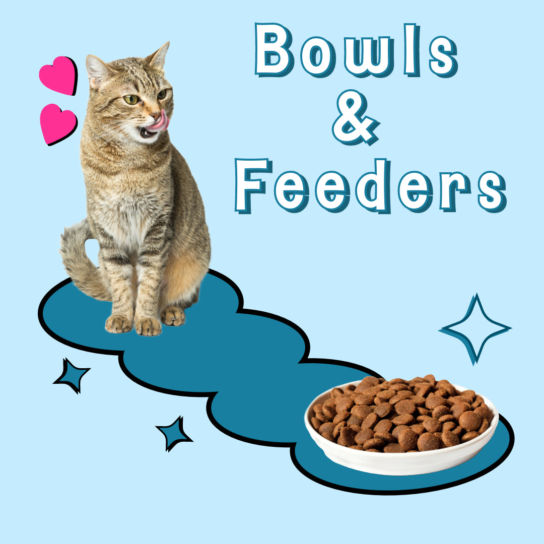 Bowls and Feeders