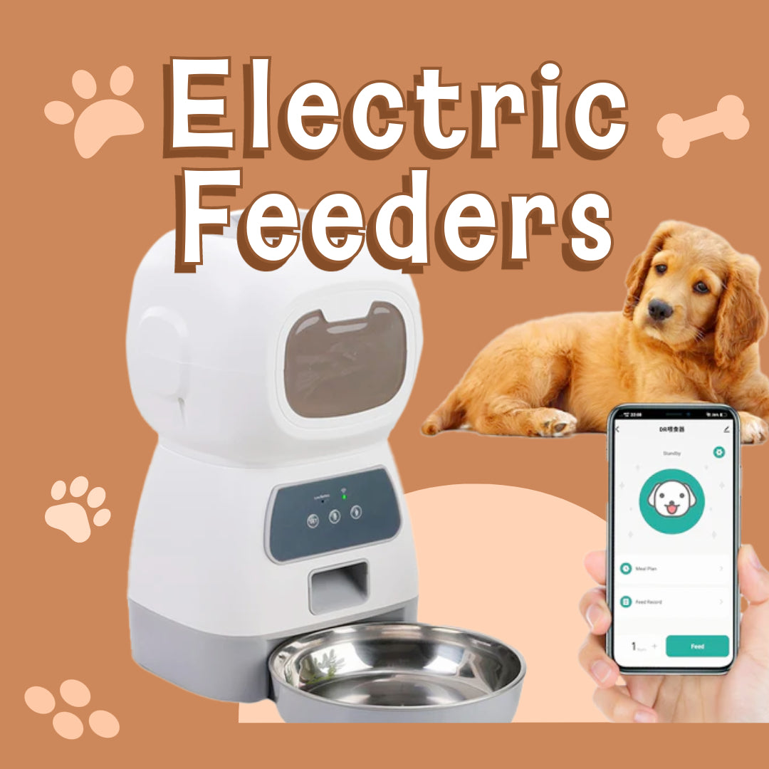 Dog Electric Feeders